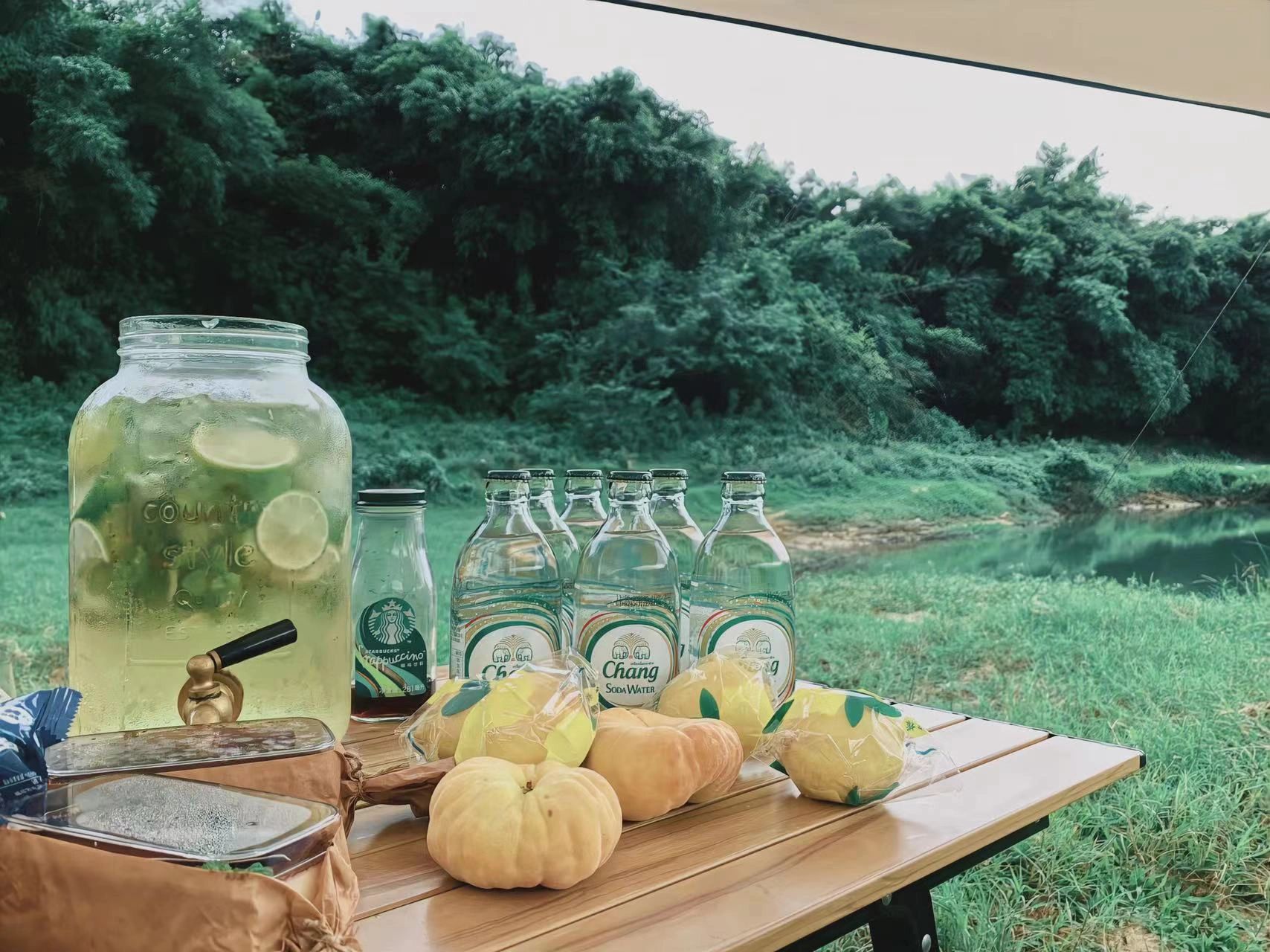 Aluminum Portable Roll-Up Picnic Table Image 3